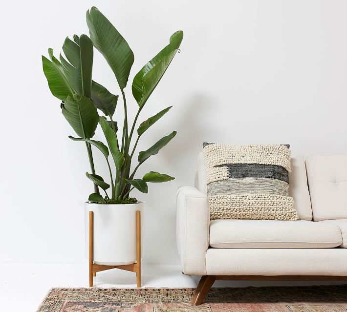 Modern White Ceramic Indoor Planters with Wooden Stand Pottery Barn