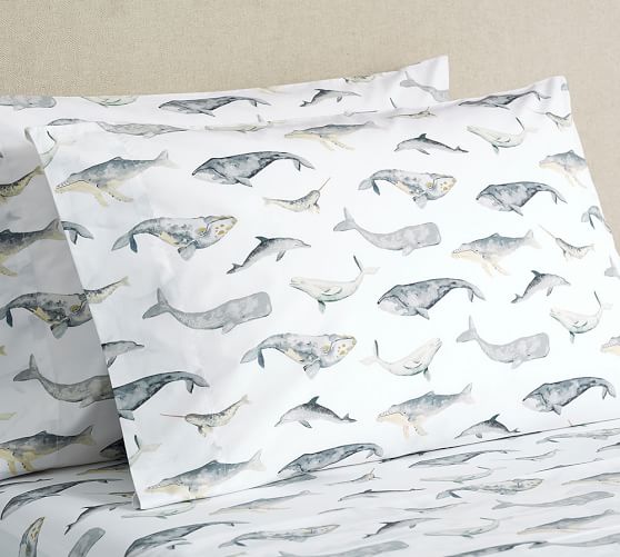 Sea Pod Organic Percale Sheet Set Pottery Barn