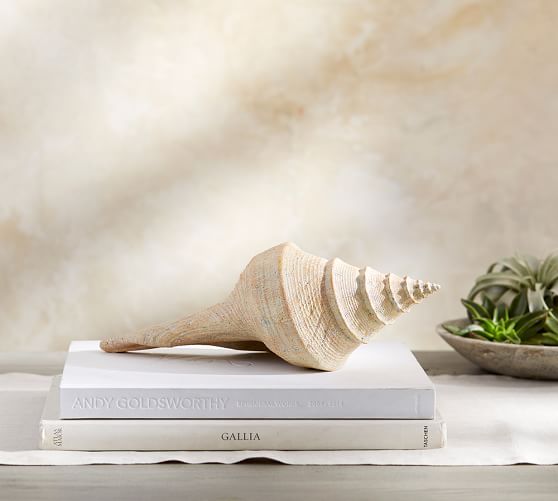 Coastal Decor & Beach Decor Pottery Barn