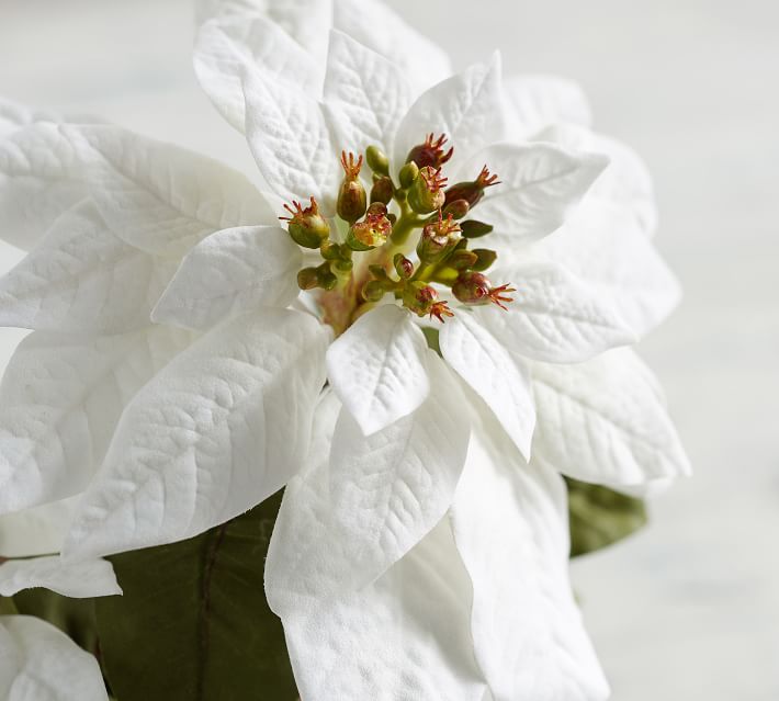 Faux Potted White Poinsettia Artificial Flowers Pottery Barn