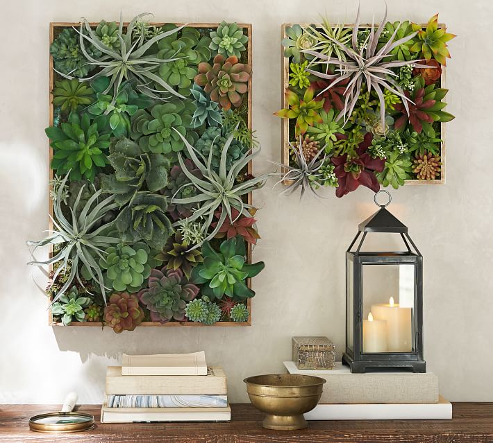Faux Succulent Wall