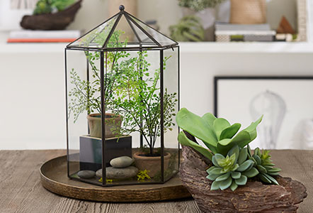 Succulent Terrarium Workshops