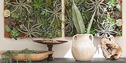 How to Create a Gallery Wall | Pottery Barn