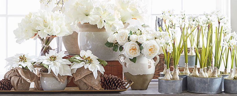 Botanical Shop