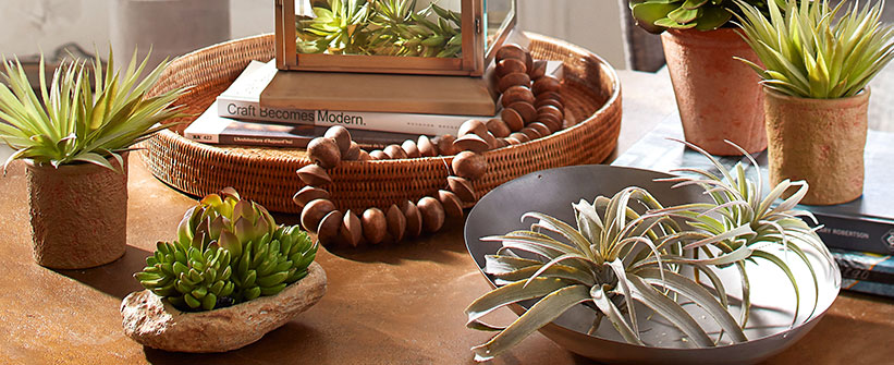 Botanical Shop