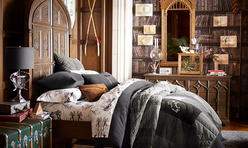 Harry Potter | Pottery Barn