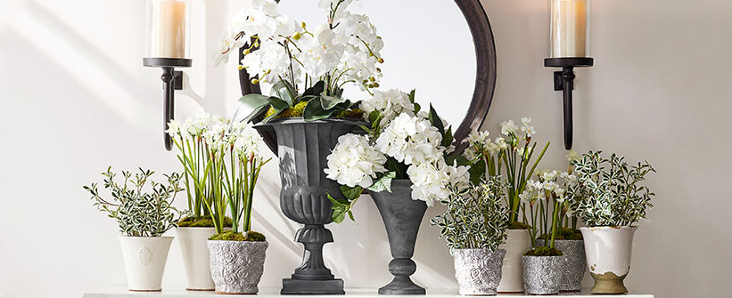 Botanical Shop