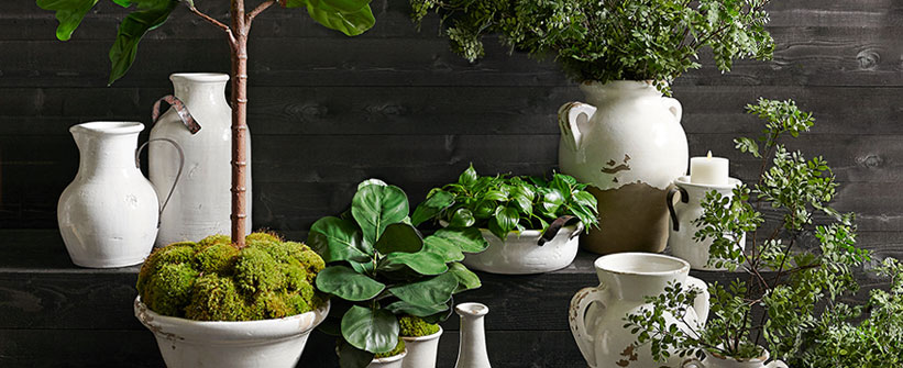 Botanical Shop