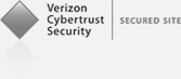 Verizon Cybertrust Security | secured site