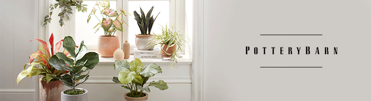 Pottery Barn, Pottery Barn Kids, Pottery Barn Teen, Williams-Sonoma, West Elm, Mark & Graham, Rejuvenation