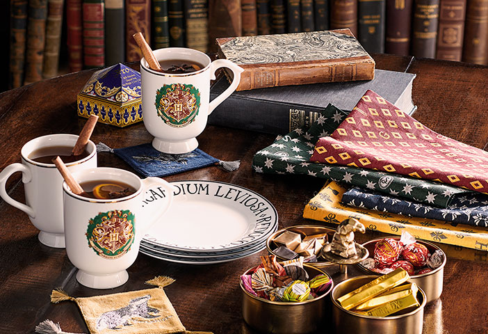 Harry Potter Pottery Barn