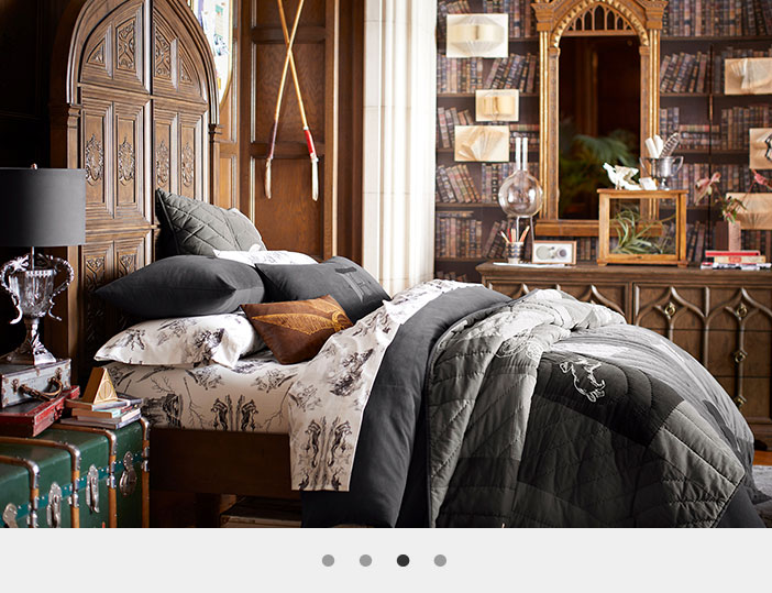 Harry Potter Pottery Barn